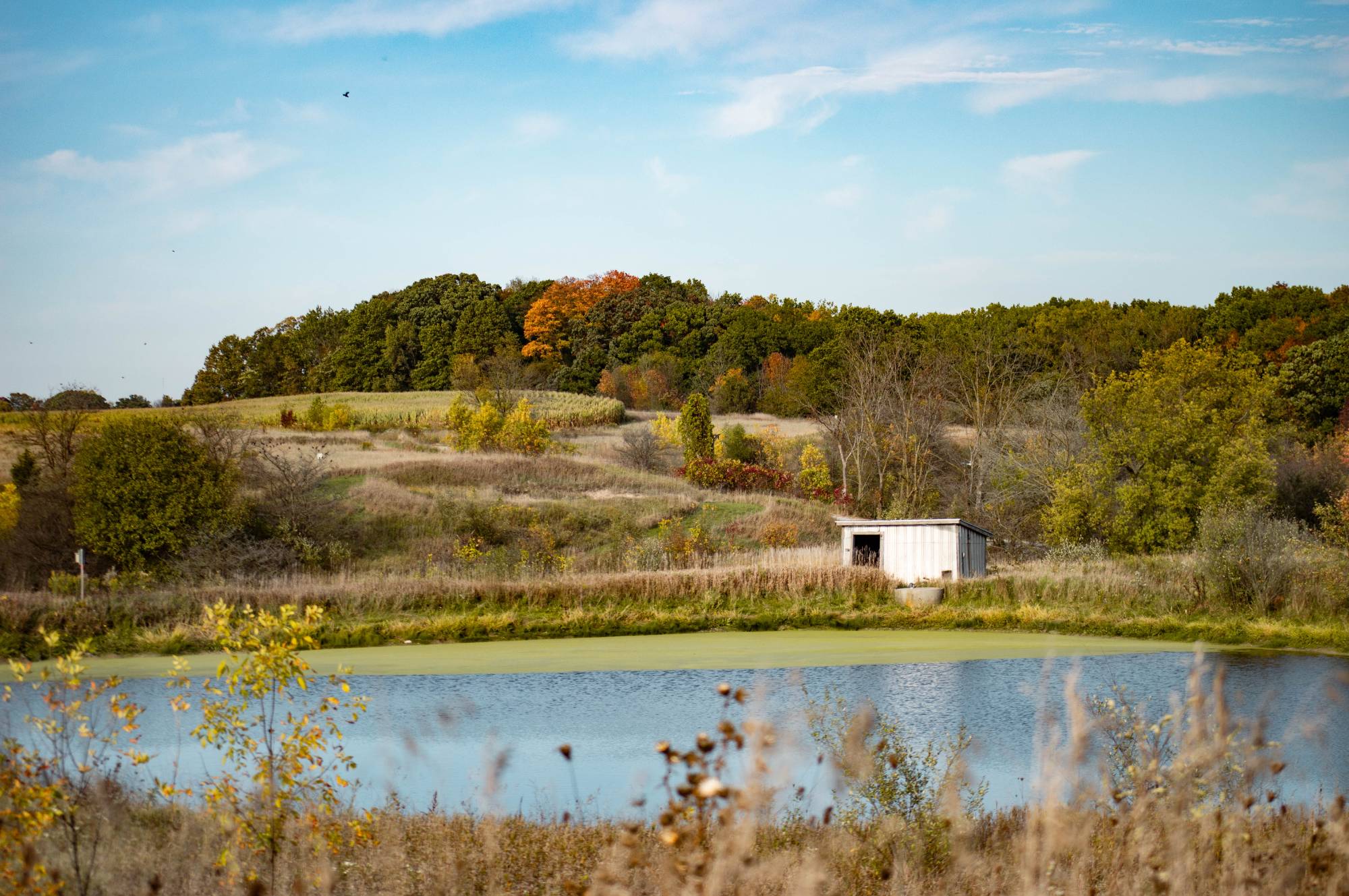 Eastmanville Farm Park